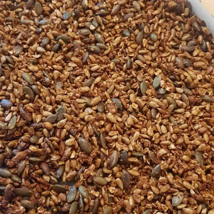 Honey Roasted Sunflower and Pumpkin Seeds with Coconut and Oats