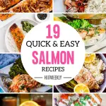 Shine a spotlight on good health with our roundup of 19 delicious salmon recipes! Featuring vibrant flavors and nutritious ingredients, these dishes are sure to become staples in your kitchen repertoire.